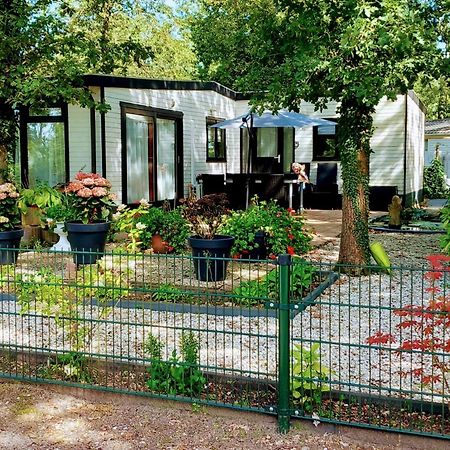 Chalet 58 "Pollie" Hattemerbroek Exteriör bild